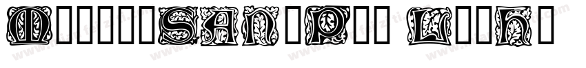 MorrisSansPro Light字体转换